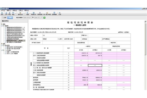国家电子申报软件