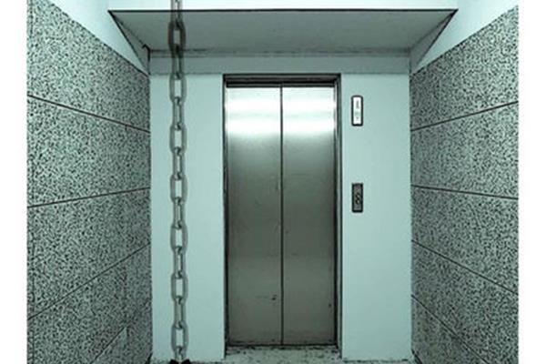 电梯坠亡死者能赔多少? 公狒狒死亡电梯