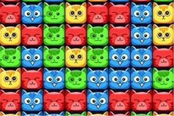 捡到猫!你会怎么做? 怎么养猫能让猫越来越乖