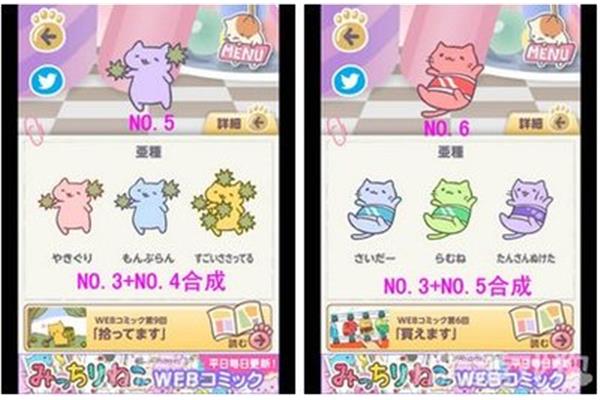 猫咪喜欢吃猫草这样做可以省时喂食