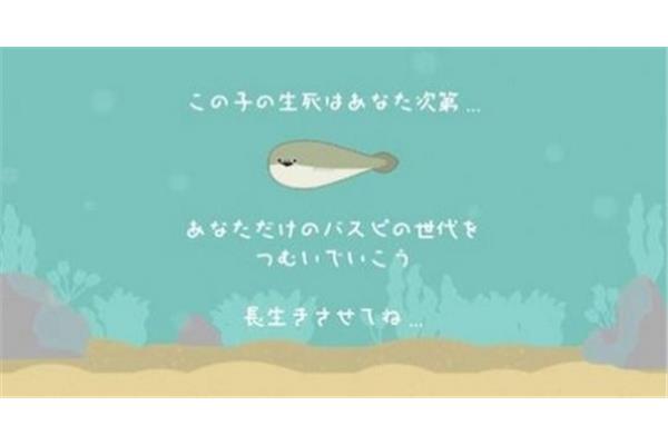 自己动手制作卡卡班甲鱼游戏一文看懂