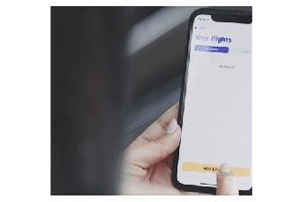 航班动态实时查询,航班动态实时查询和下载