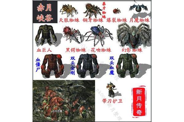 法师的技能等级是天狼蜘蛛,魔龙血蛙还是天狼蜘蛛?