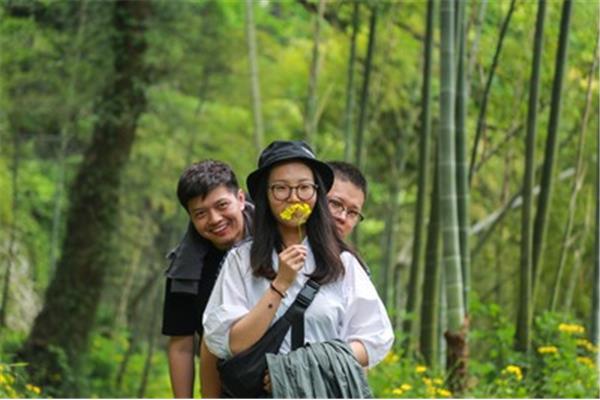 梦想去丛林探险,500字的冒险故事范文