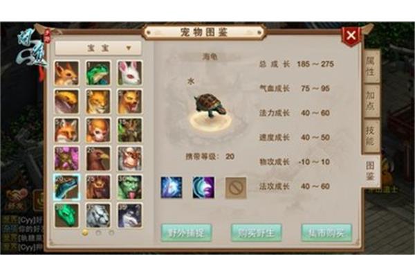 教你如何进化宠物问,苏州很很科技有限公司