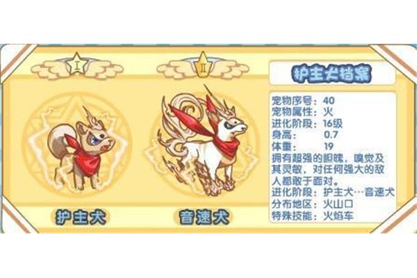 音速狗有什么好性格?北京洛克莱兹科技有限公司