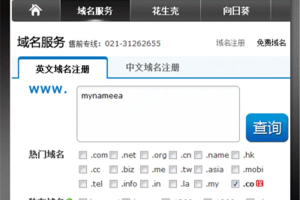 新网站域名注册查询,阿里云域名注册查询