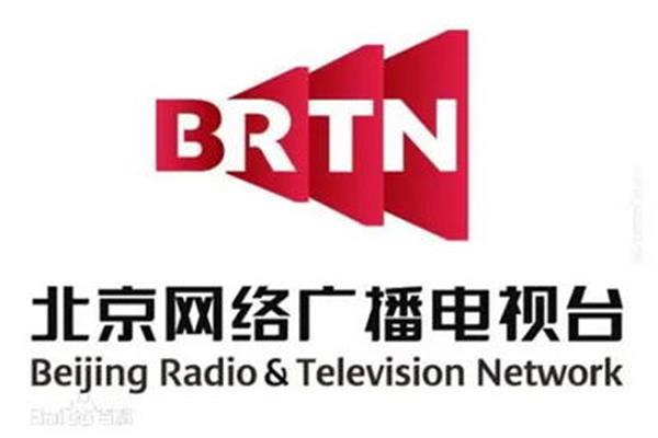 中国网络电视台,中国电视台网络电视台