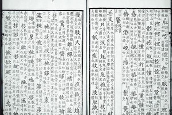 甲骨文字典在线查询,哪个网站可以在线查询日语单词?