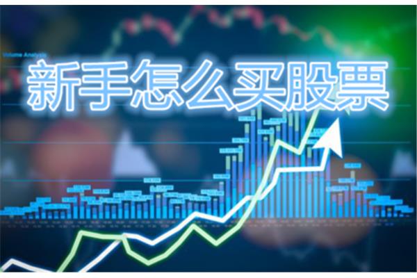 如何购买股票初学者,如何购买股票