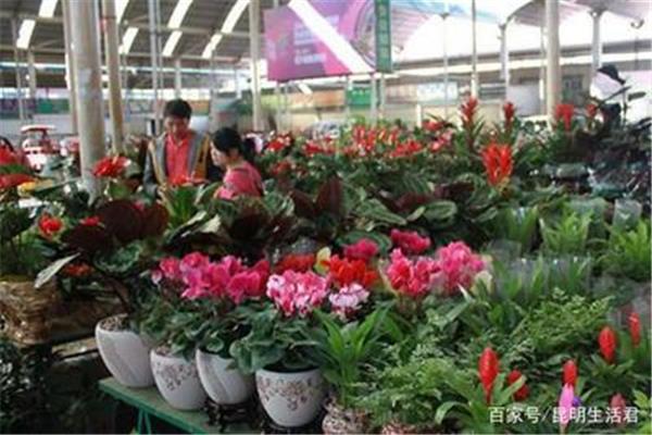 街机街头篮球下载,苹果怎么下载街头篮球?