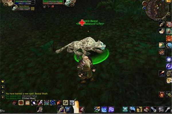 魔兽世界猎人攻略中的巫妖王之怒,魔兽世界猎人宠物收藏