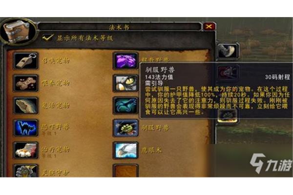 魔兽争霸猎人宝宝技能大全,乌龟服饰猎人宝宝技能大全