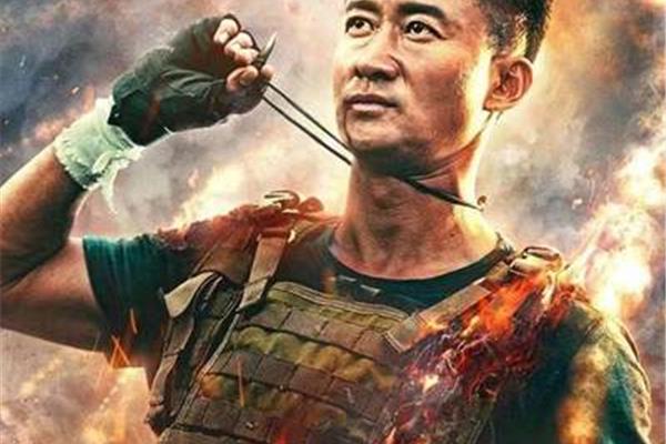 关于吴京的电影都有哪些?河南林宝生物科技有限公司