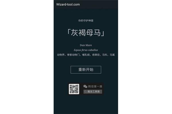 哈利·波特守护神测试,霍格沃茨守护神测试