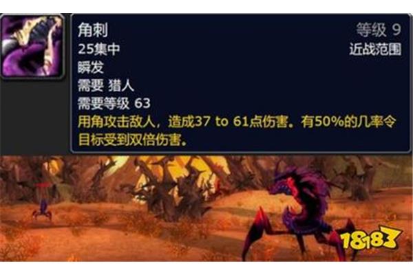 魔兽争霸猎人宝宝推荐,魔兽世界40级猎人宝宝推荐