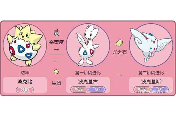 包波克比进化图,神奇宝贝波克比进化图