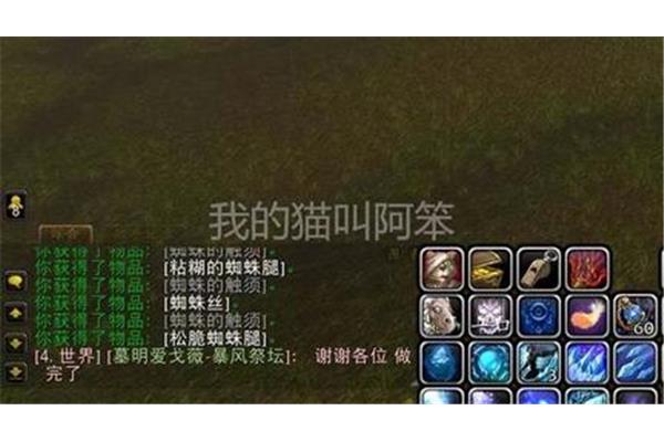 怀旧服铁网蛛丝在哪里刷,魔兽世界铁网蜘蛛丝刷在哪里?