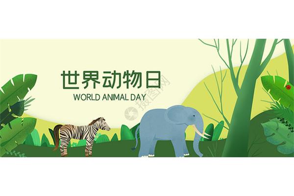请问世界动物日是什么时间?有哪些国际节日?