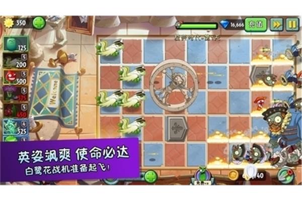 全尺寸植物可以在零日照和不降温的情况下种植吗?植物大战僵尸5