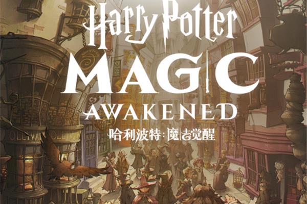 哈利波特可以改变性别吗?魔法学院莫利书房