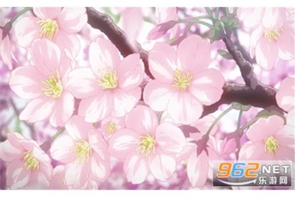 如何下载电脑版的樱花动画,看看哔哩哔哩的软件怎么样?