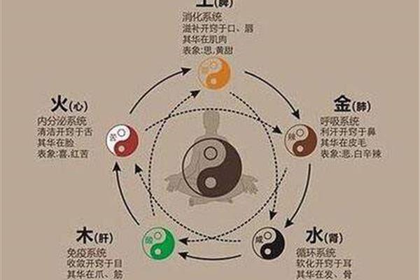梦幻西游69吴立庄,如何给梦幻西游五庄概念加点分?