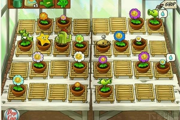 如何下载手机版pvz95,nssad99?