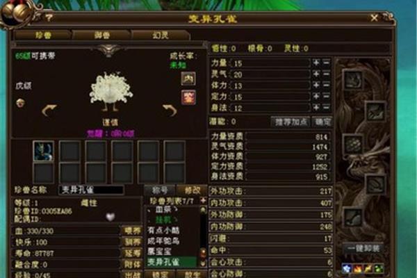 新天龙八部怀旧版怎么进入,mac怎么玩天龙八部怀旧版?