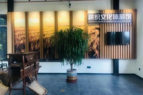 在飘雪影院在线观看高清电影,海升稻香的背景是什么?