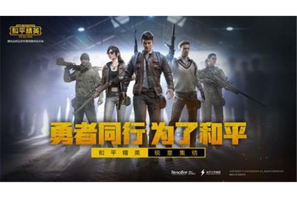 和平精英设施,和平精英国际服务