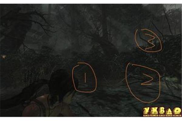 谁有《古墓丽影3》第三关盗墓的攻略金木水土密码?