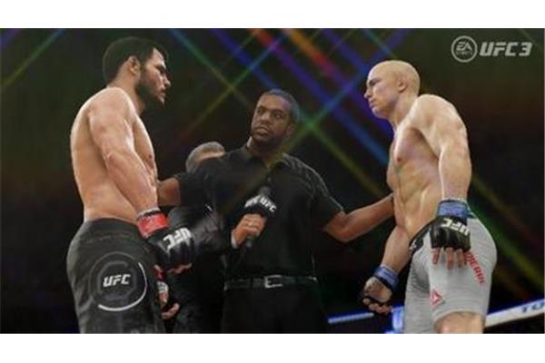 Ufc格斗游戏,拳击游戏直播手机版