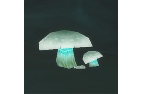 魔兽争霸幽灵菇哪里比较多,找到分布在魔兽世界各种地图上的草药
