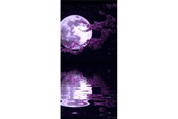 夜月的直播怎么样?夜月如何注销?