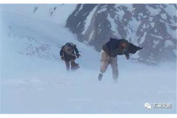 魔兽地图雪地者宠物,魔兽雪地者1.10秘籍