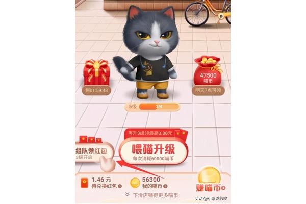 猫今年怎么退出猫猫怎么退队2020?