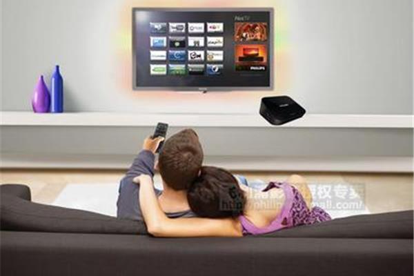 HDTV,欧洲高清线中的hdmi品牌