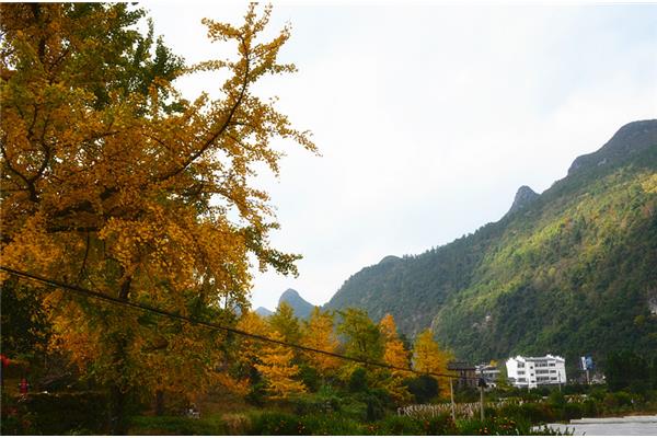 林峰火山电影,林峰火山的意义