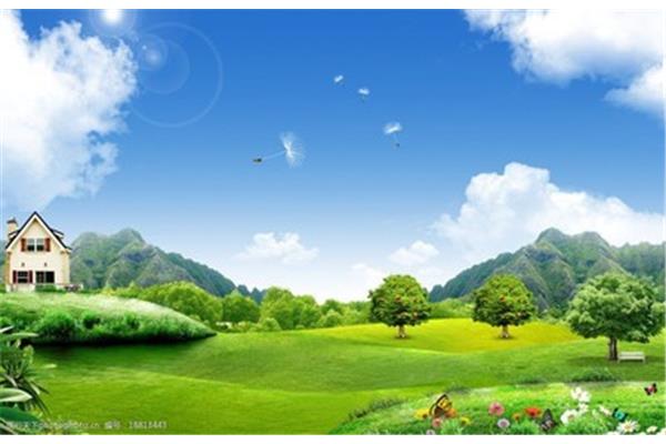 Tik Tok十大美女壁纸图片,流行风格壁纸附风景
