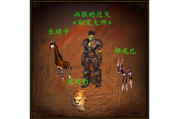 宠物战斗训练师wow 战斗宠物训练师?