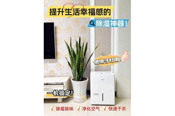 请问买什么牌子好,哪个好?