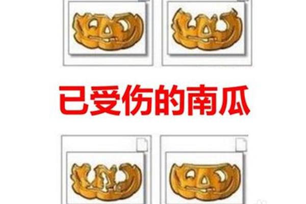 植物大战僵尸坚果愈合术怎么用,术后切口如何快速生长?