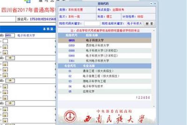 姓名编号代码查询,姓名代码查询
