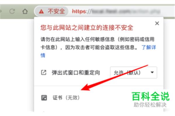 什么浏览器可以打开各种网站,苹果手机可以用什么浏览器不限