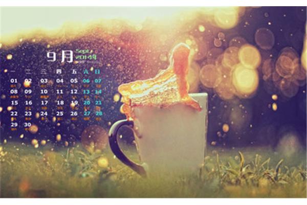 电脑桌面主题软件,电脑桌面主题软件推荐