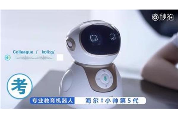 人形机器人多少钱一台,养老金机器人多少钱一台