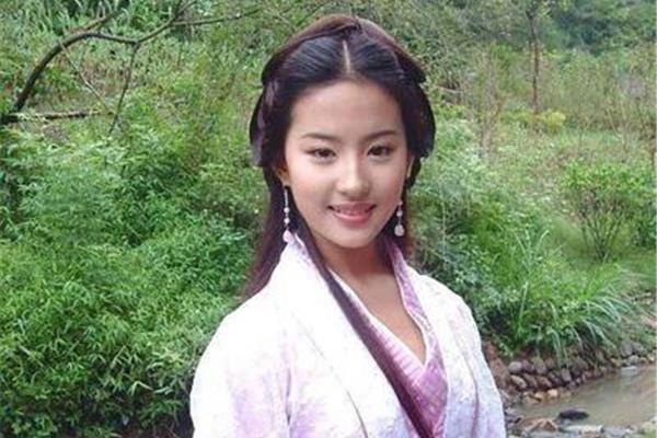 林志颖刘亦菲演过的电视剧
