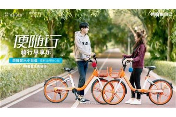 ihoco 轻松伴侣,器排名介绍怎么样