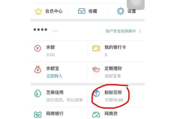 如何使用柏华的钱,什么是柏华和如何使用它